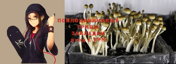 ешки Ладушкин