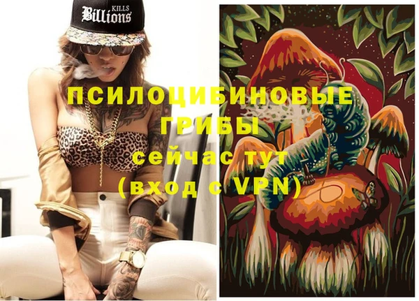 ешки Ладушкин