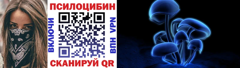 Купить  Аргун  Псилоцибиновые грибы прущие грибы 